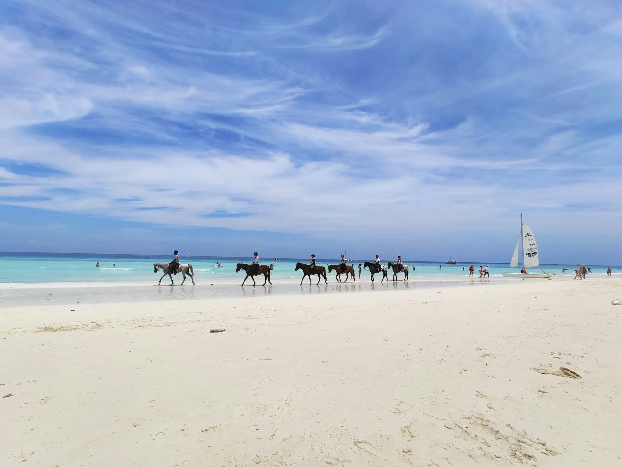 Tanzanian Horse