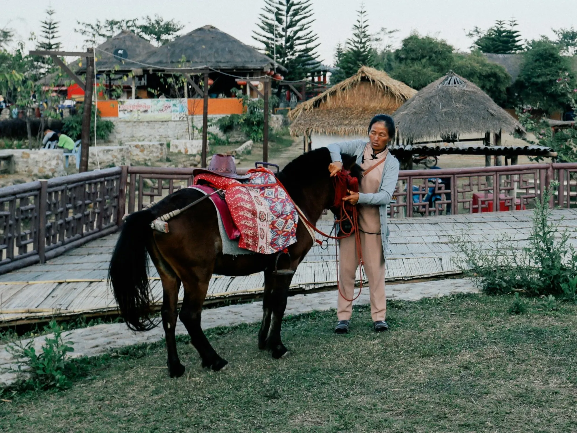 Thai Pony