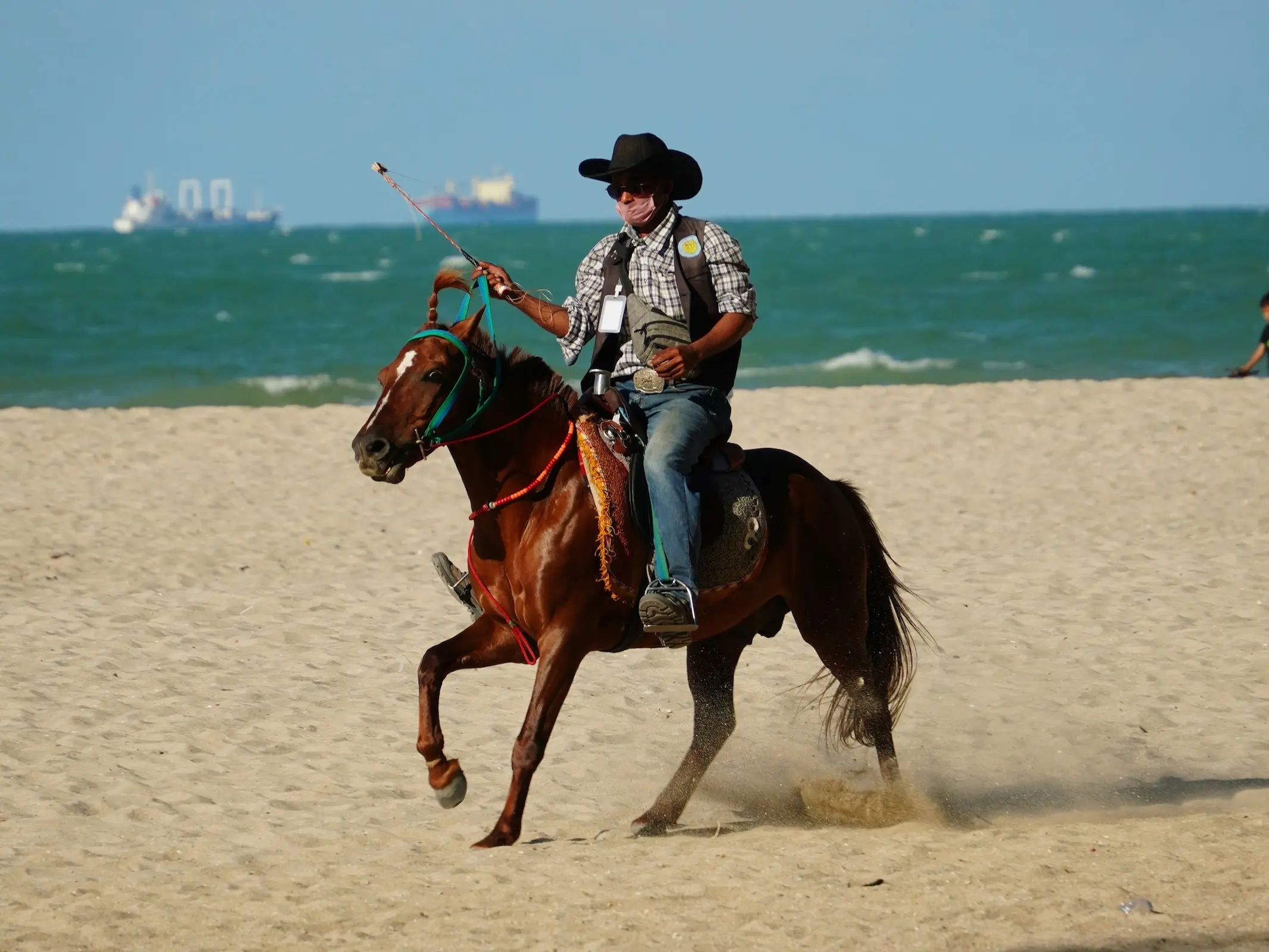 Thai Pony