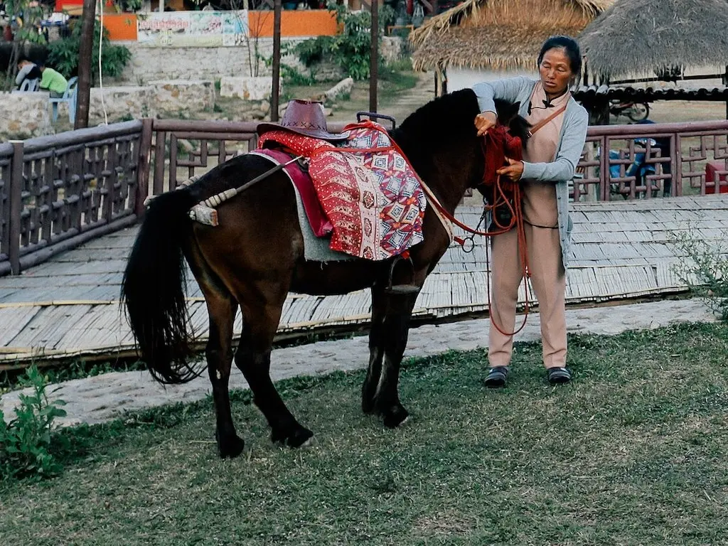 Thai Pony