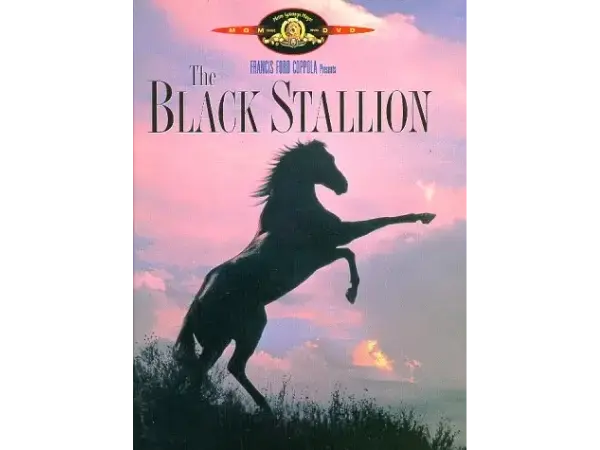 The Black Stallion