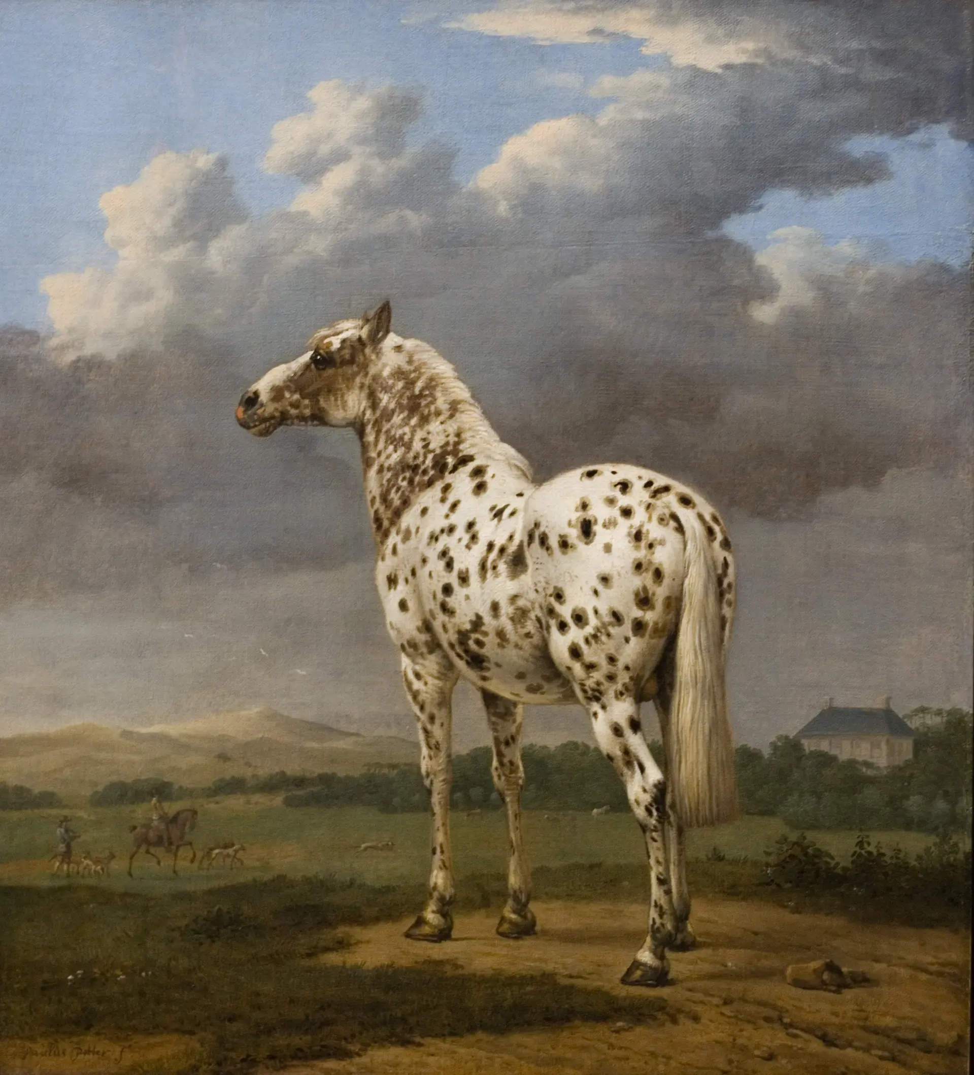 The Piebald Horse - Paulus Potter