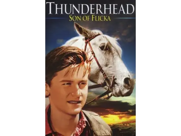 Thunderhead son of Flicka