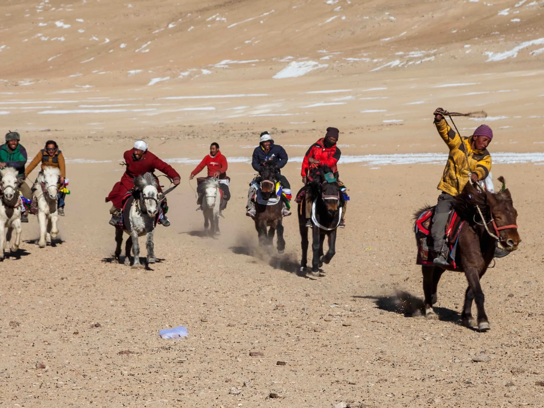 Tibetan Pony