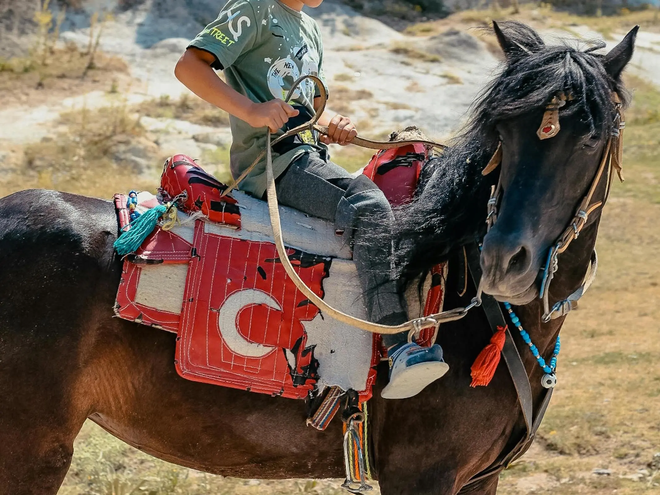 Trakya