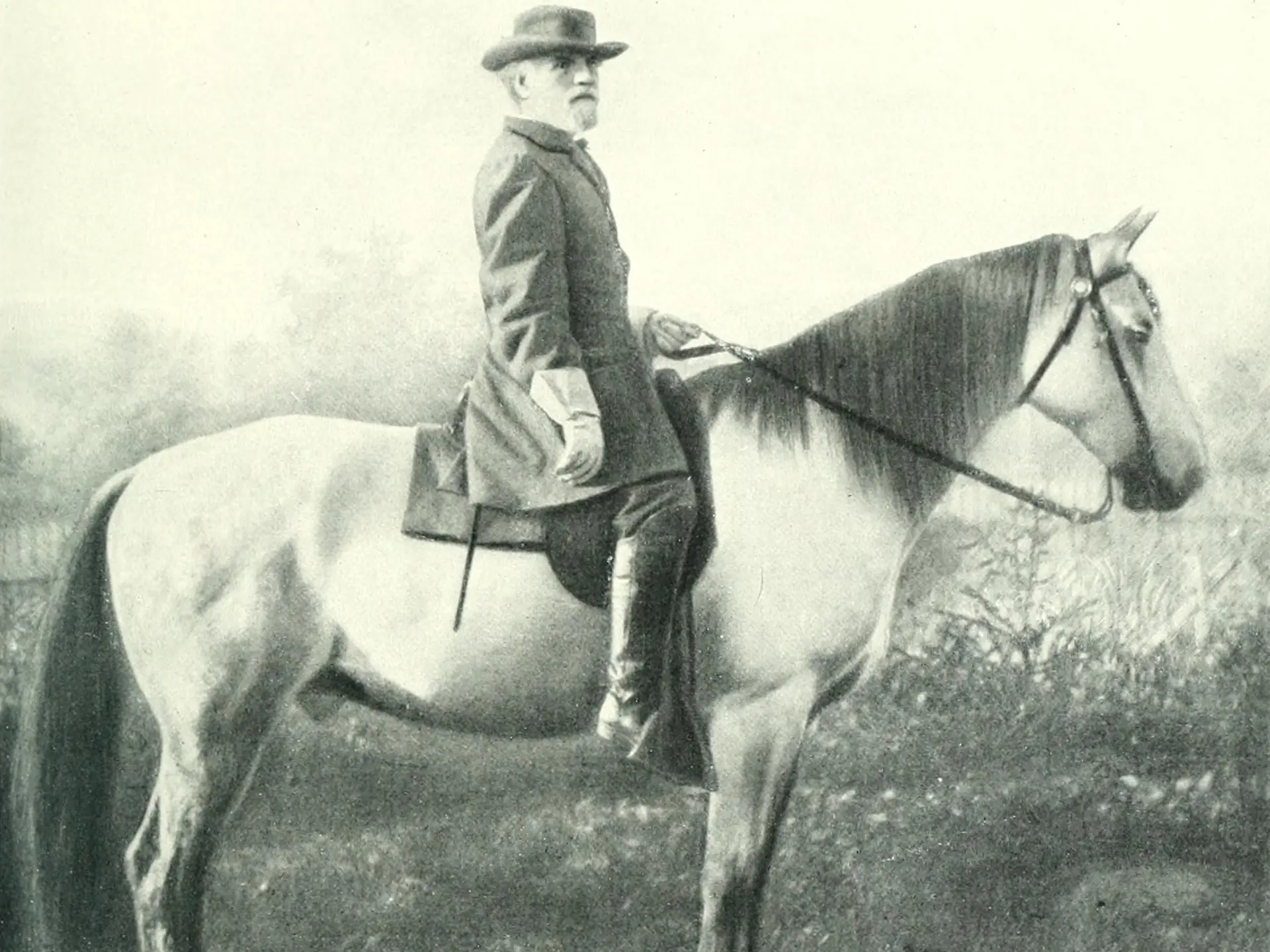 General Lee's horse, Traveller