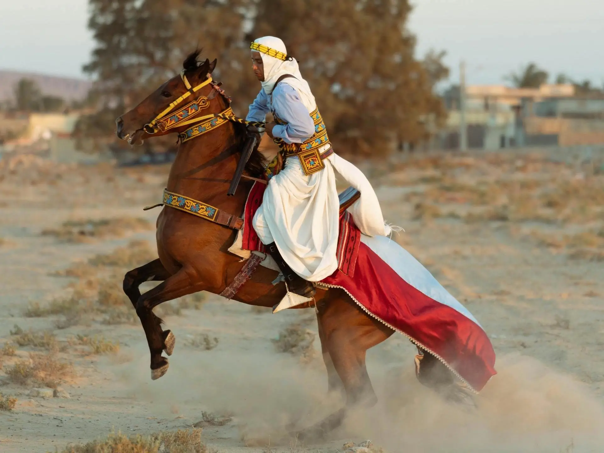 Man in traditional Tunisian dress riding a rearing horse