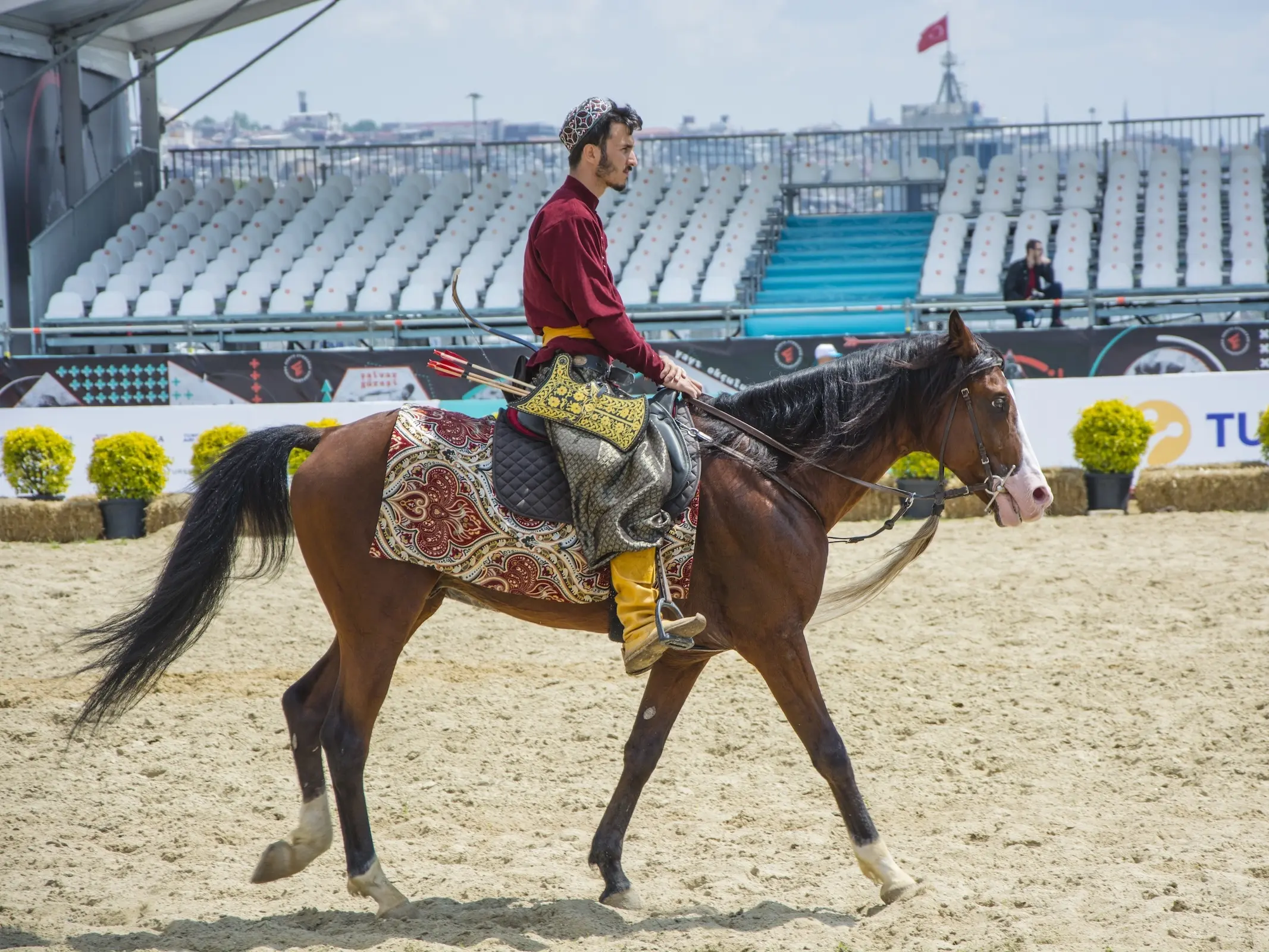 Turkish Thoroughbred Horse