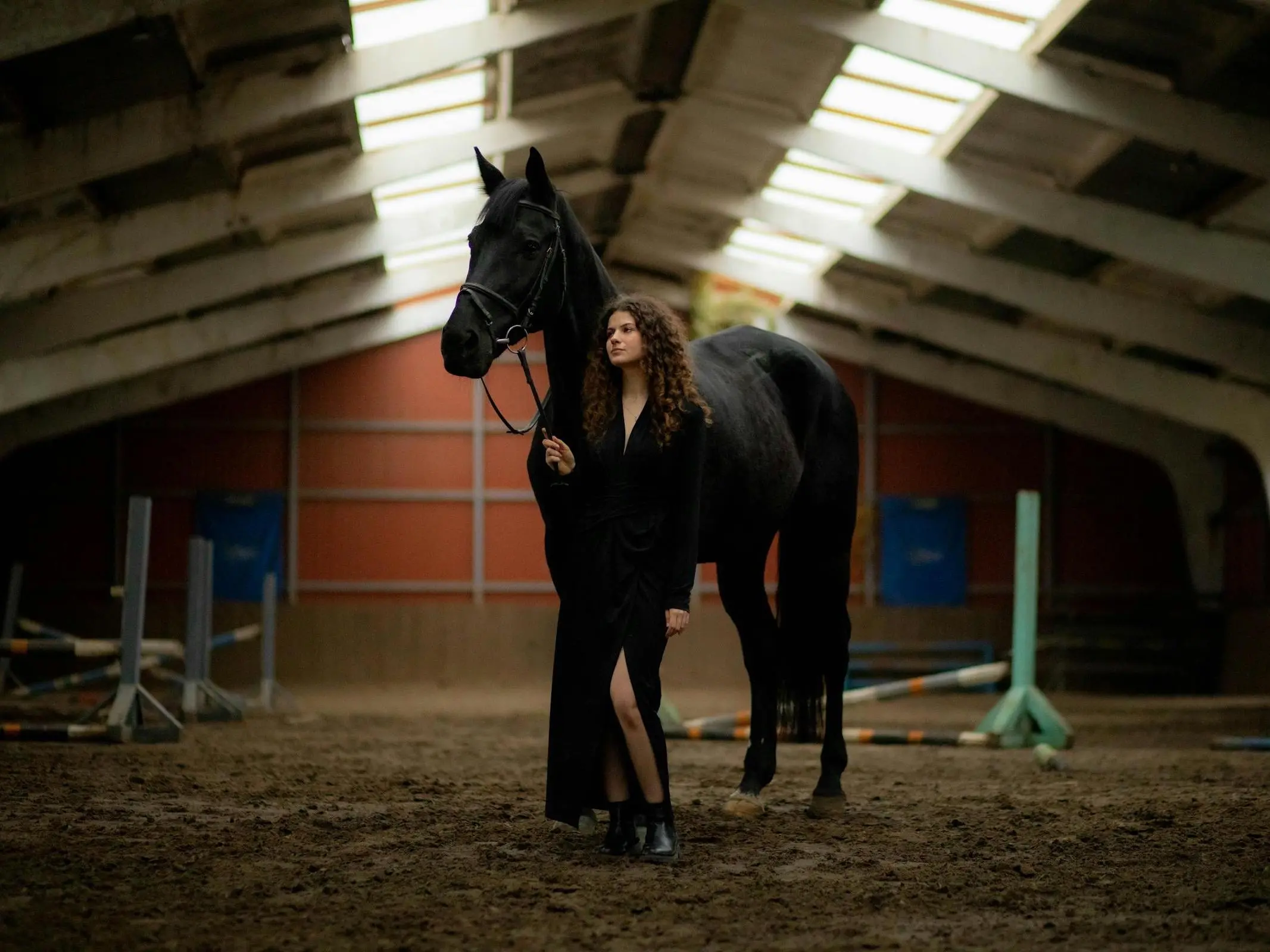 Ukrainian Saddle Horse