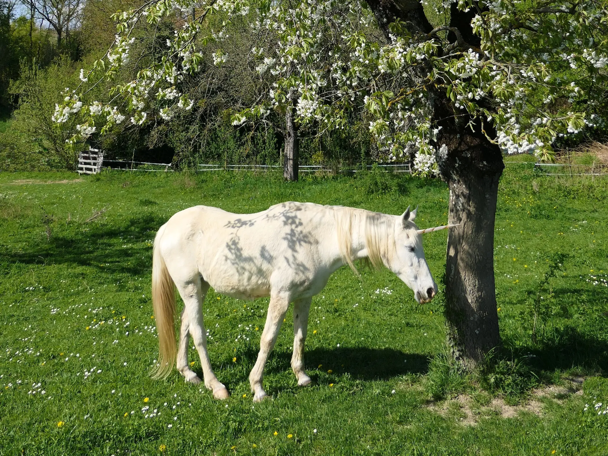 Unicorn under a tree