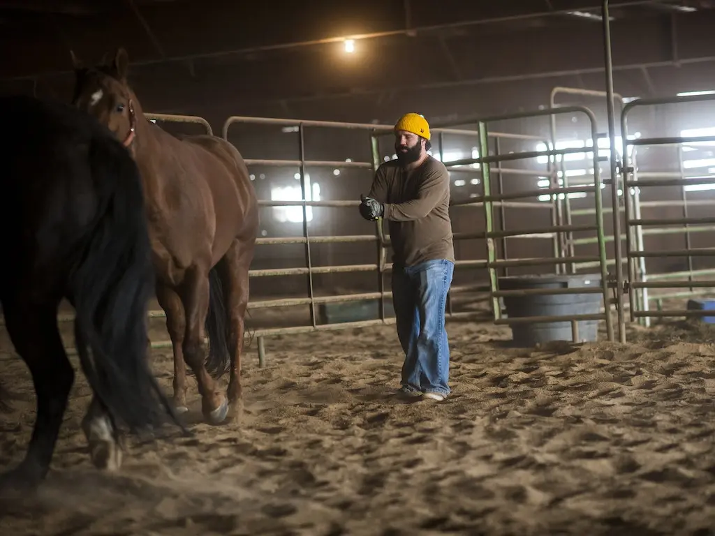 Man in an arena with horses