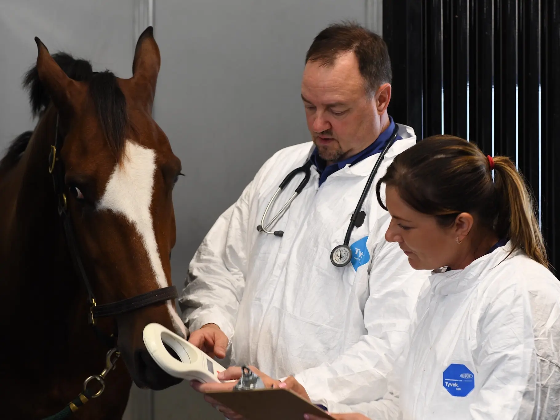 Vet and assistant looking at a chart next to a horse