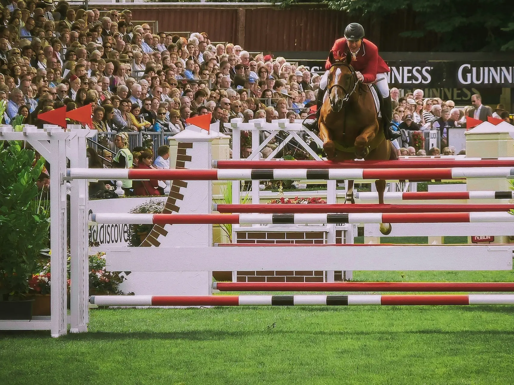 Horse jumping a fence in a showring