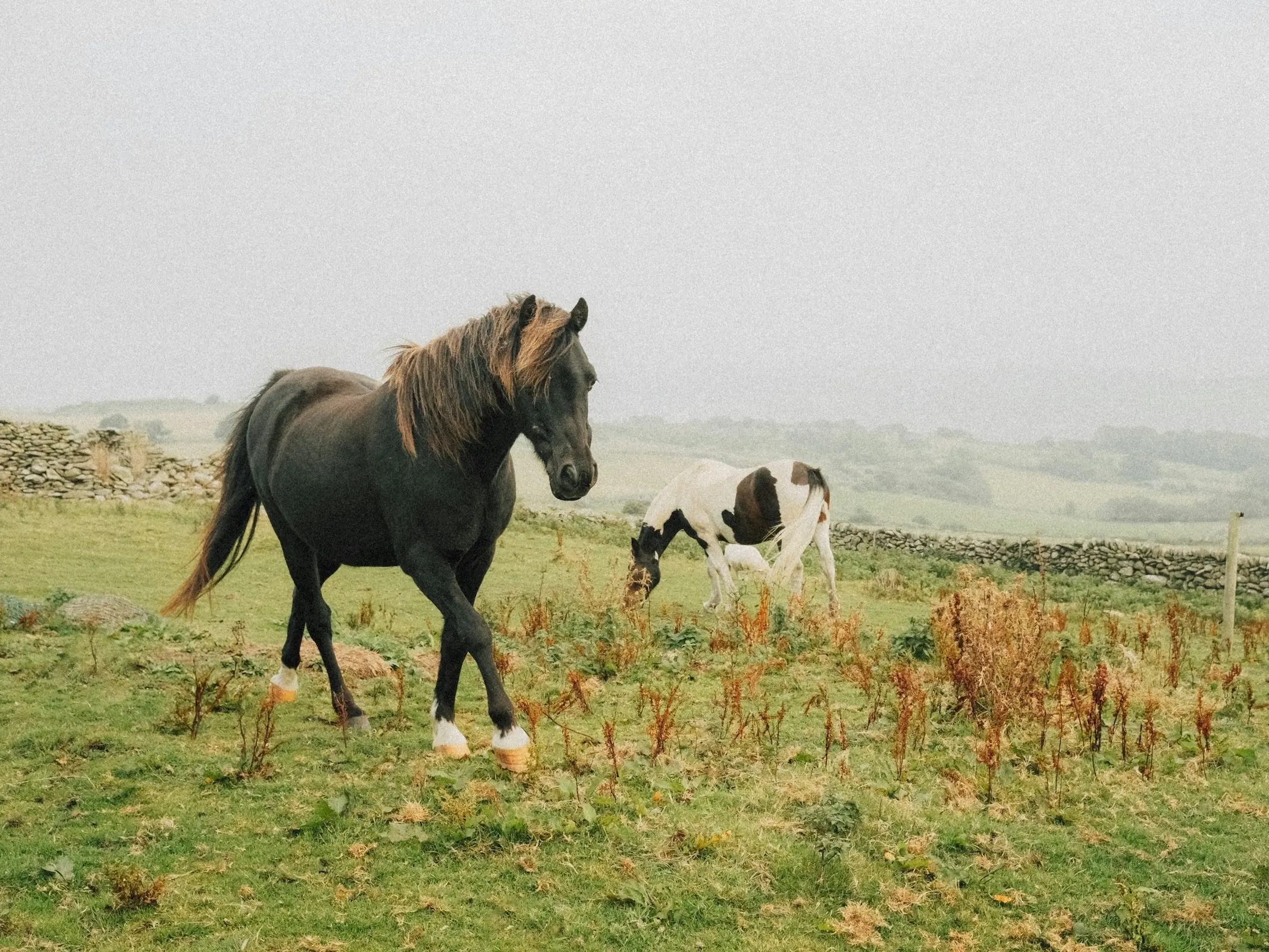 Welsh Cross (Section K)