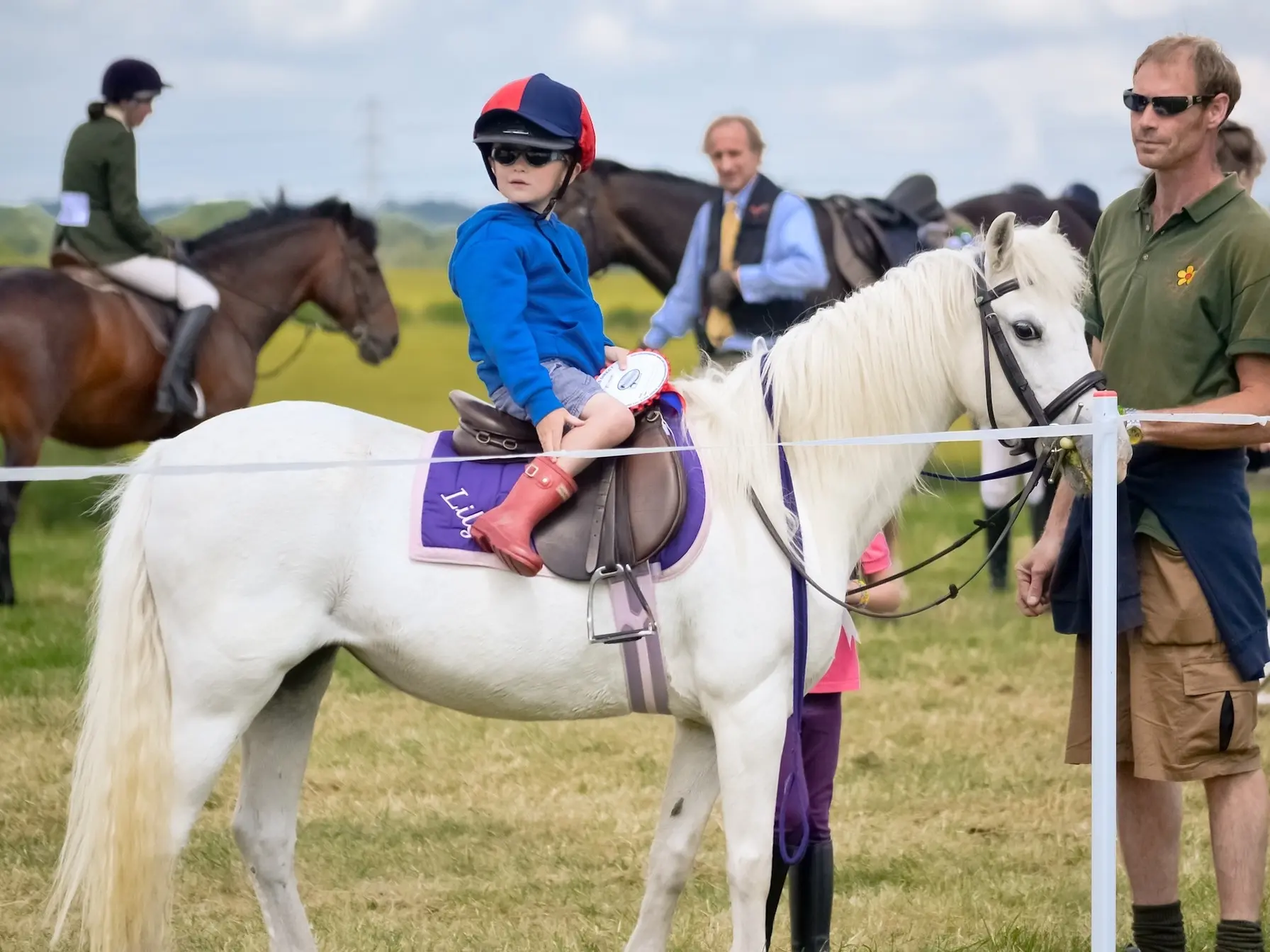 White grey horse