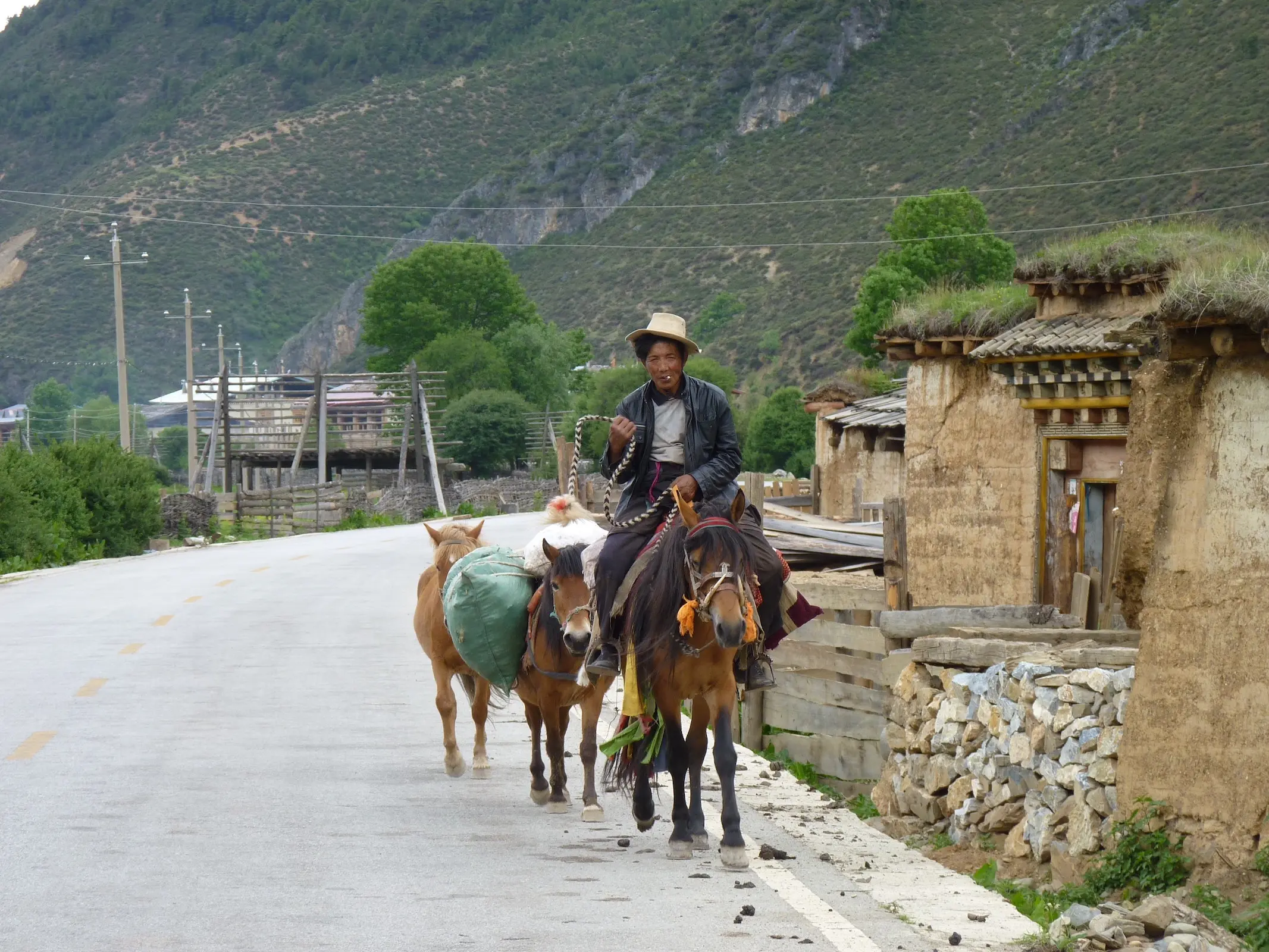 Yongning Horse