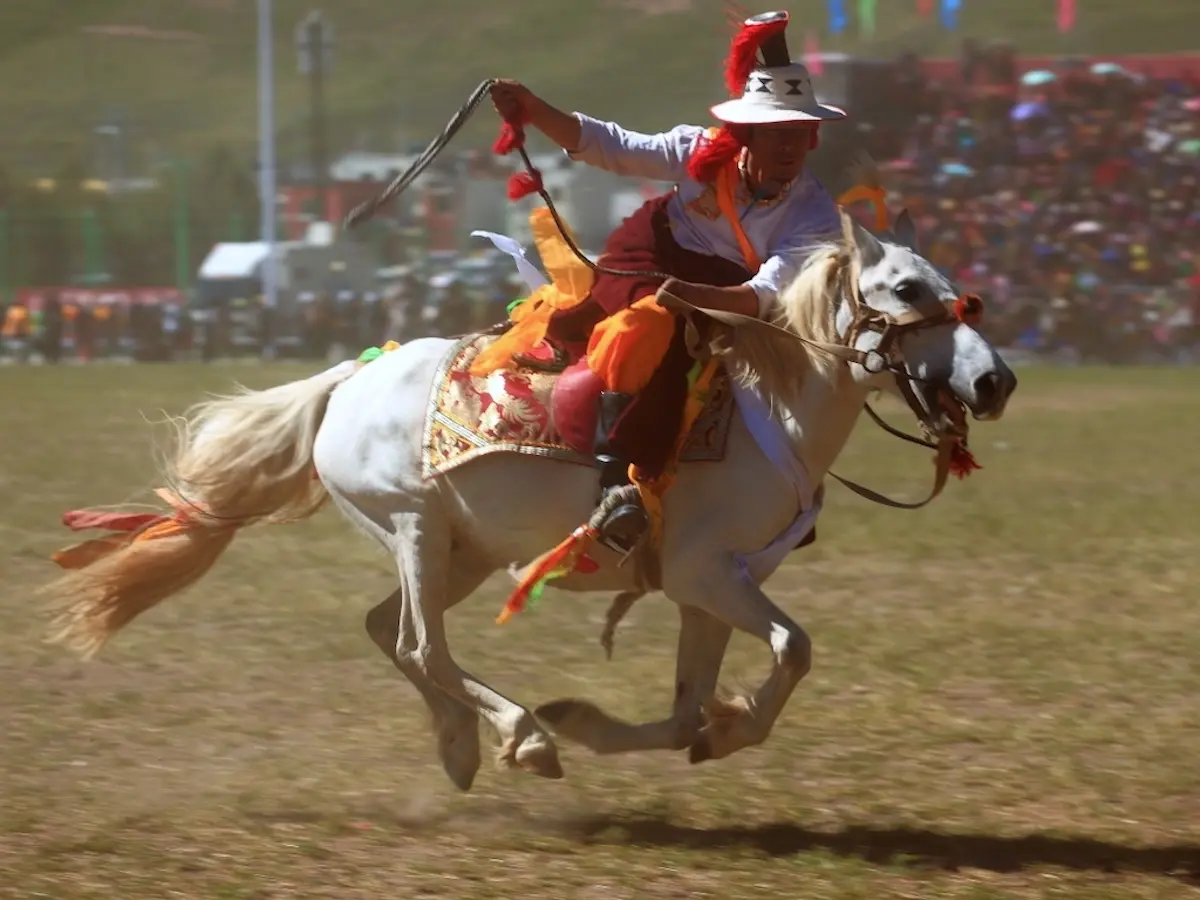 Yushu Horse