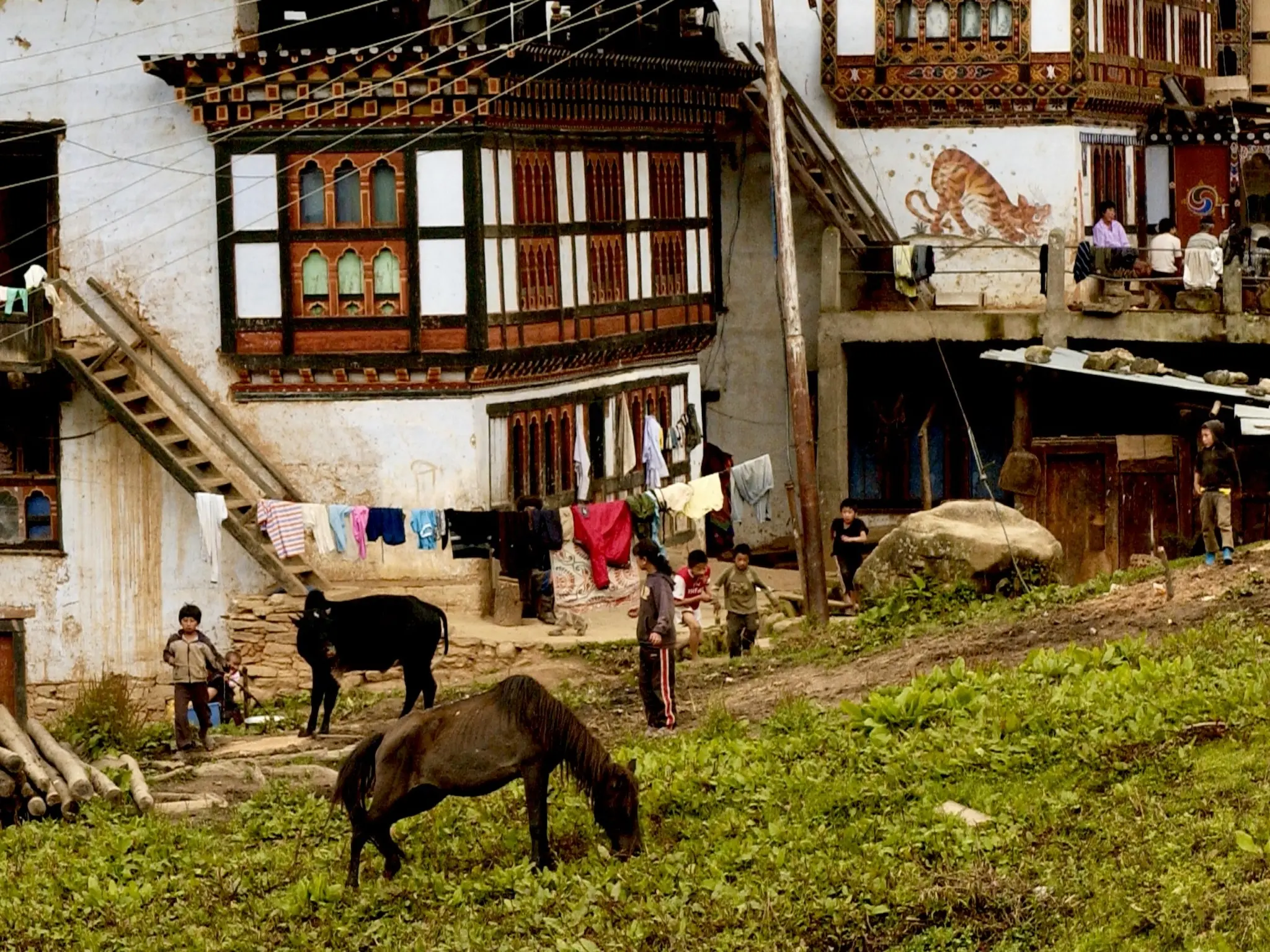Yili Horse